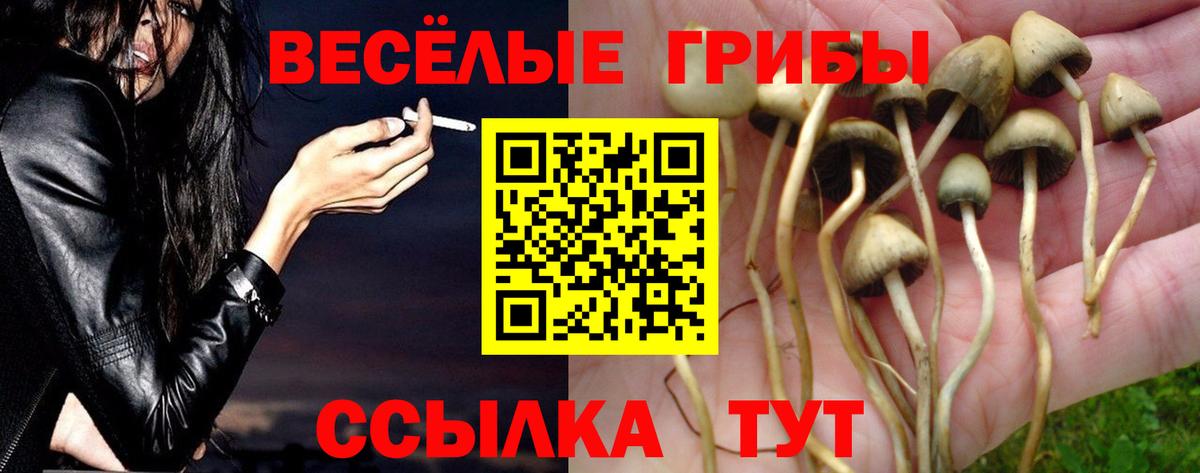 Псилоцибиновые грибы MAGIC MUSHROOMS  Галлюциногенные грибы прущие грибы  Вход с VPN  Ногинск 